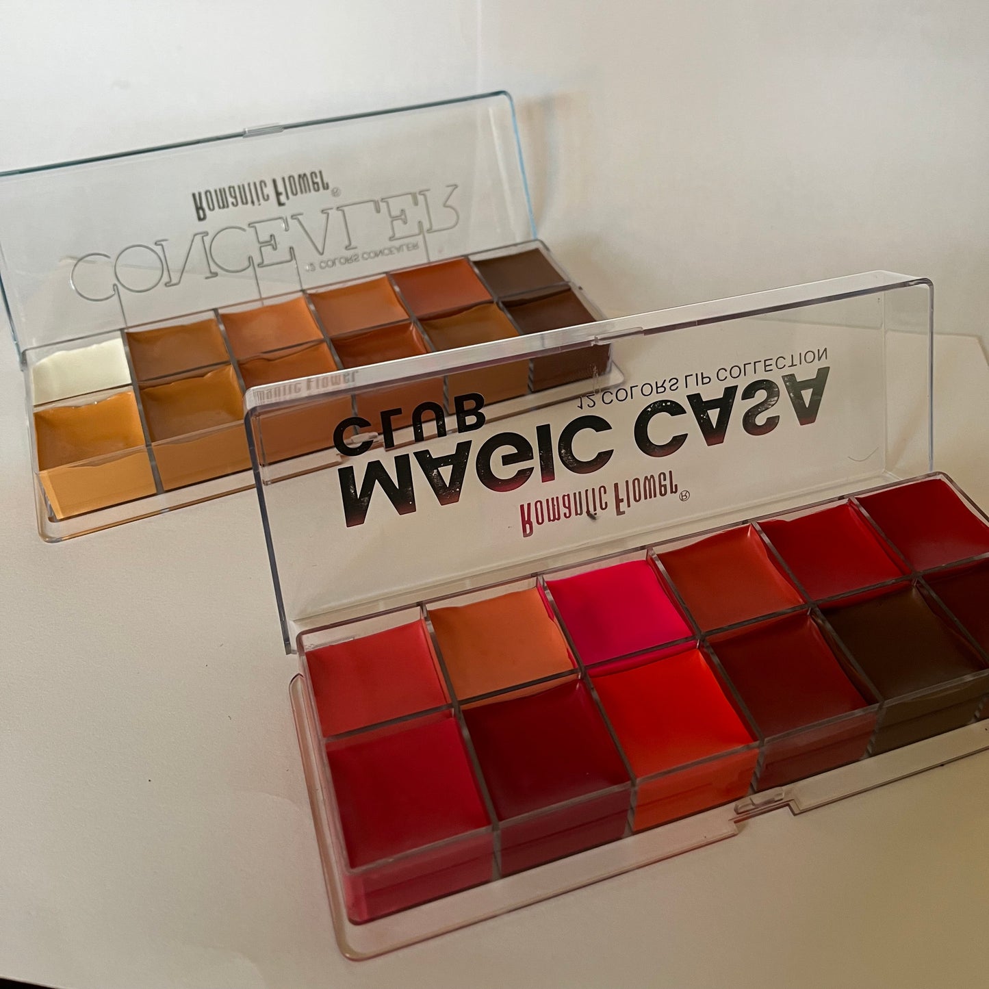Lipstick & Concealer Palette Combo