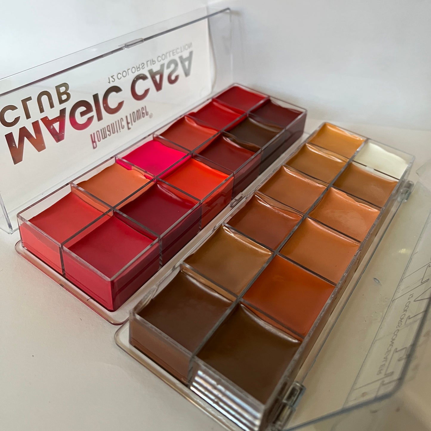 Lipstick & Concealer Palette Combo