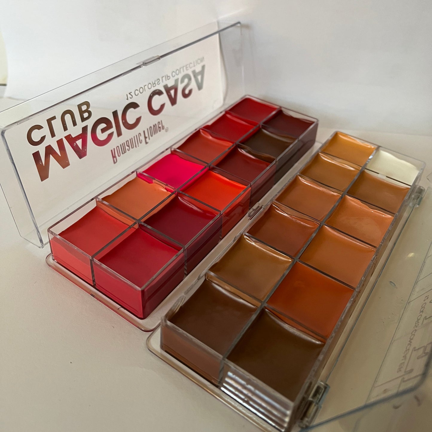 Lipstick & Concealer Palette Combo