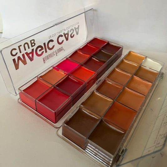 Lipstick & Concealer Palette Combo